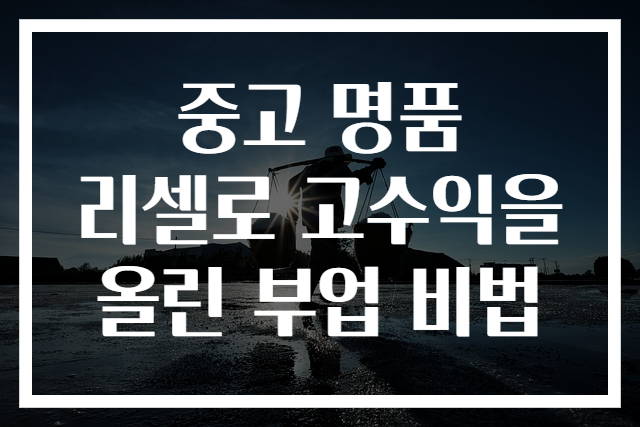 중고 명품 리셀로 고수익을 올린 부업 비법